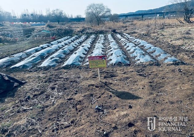 대구 북구, 금호강 불법행위 행정대집행 실시